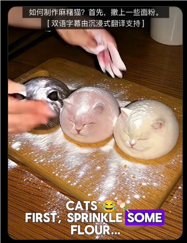 博主用AI制作“麻薯猫”X上走红