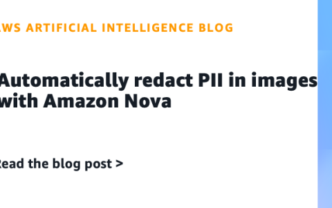 AI案例观察：Automatically redact PII in images with Amazon Nova